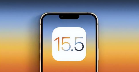 庐江苹果手机维修分享iOS15.5 RC版升级建议 