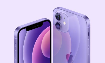 庐江苹果手机维修分享紫色版iPhone 12有什么技术亮点 