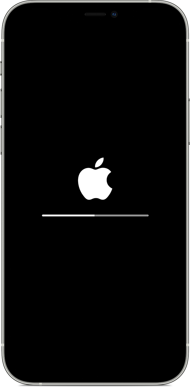 庐江苹果手机维修分享iPhone 12 无法更新系统、出现报错的解决办法 