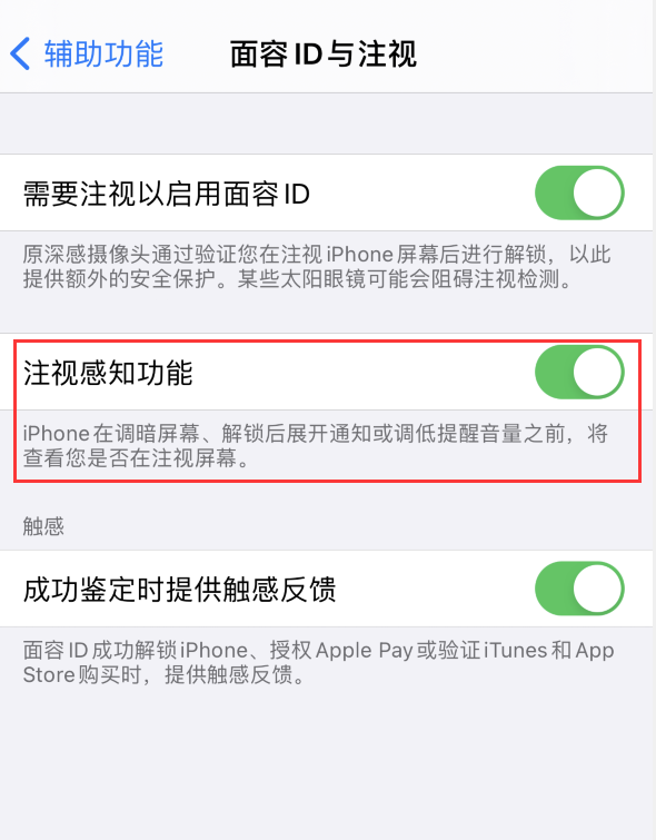 庐江苹果手机维修分享iPhone 12 不会自动锁屏怎么办 