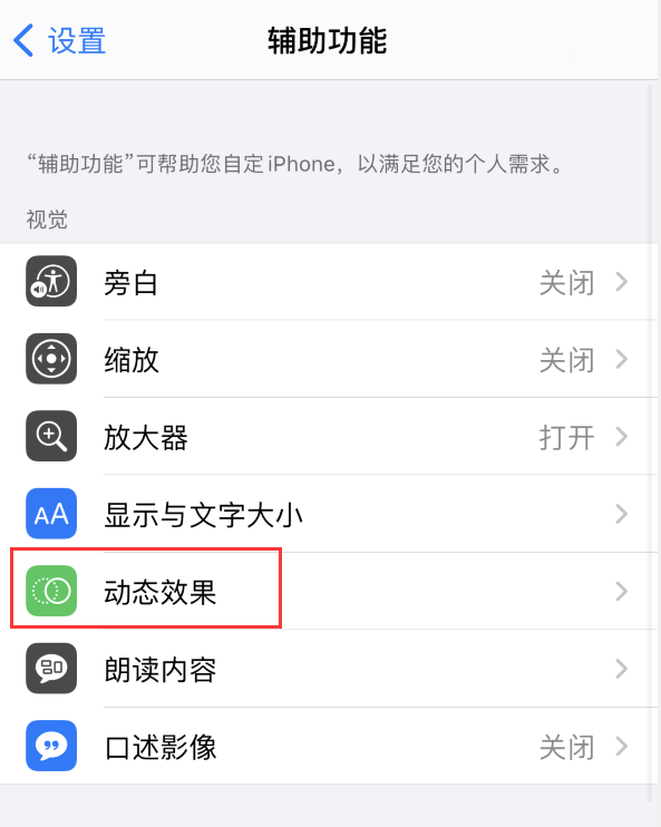 庐江苹果手机维修分享iPhone 12 退出应用时没有动画显示，如何设置 